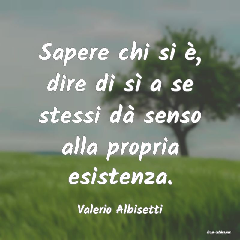 frasi di  Valerio Albisetti
