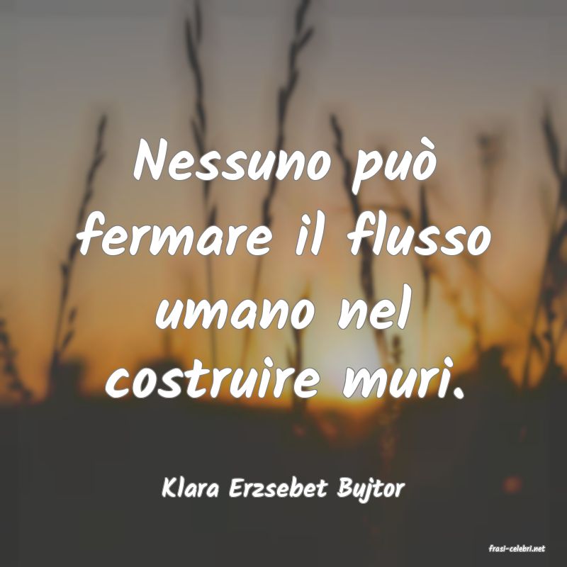 frasi di  Klara Erzsebet Bujtor
