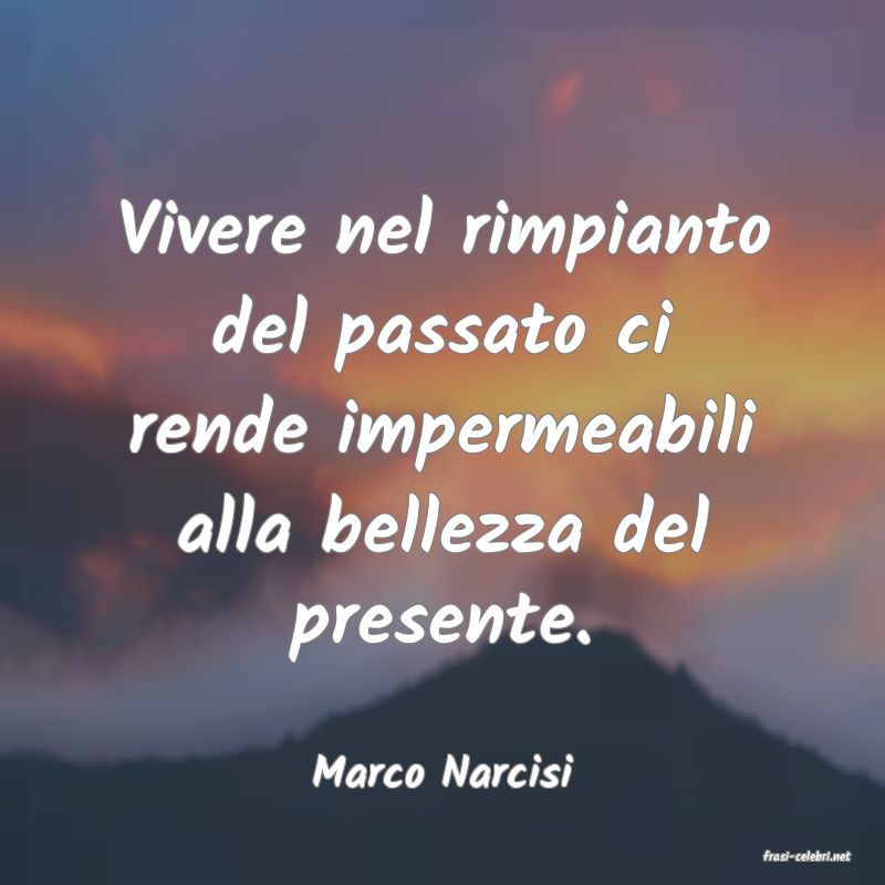 frasi di  Marco Narcisi
