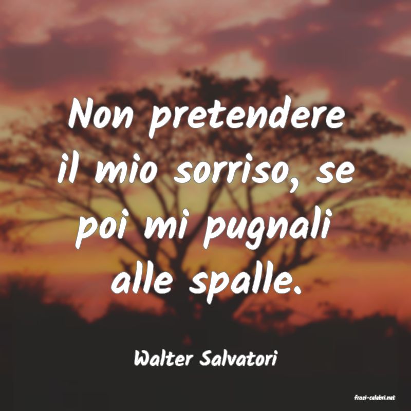 frasi di  Walter Salvatori
