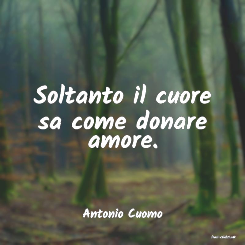 frasi di  Antonio Cuomo
