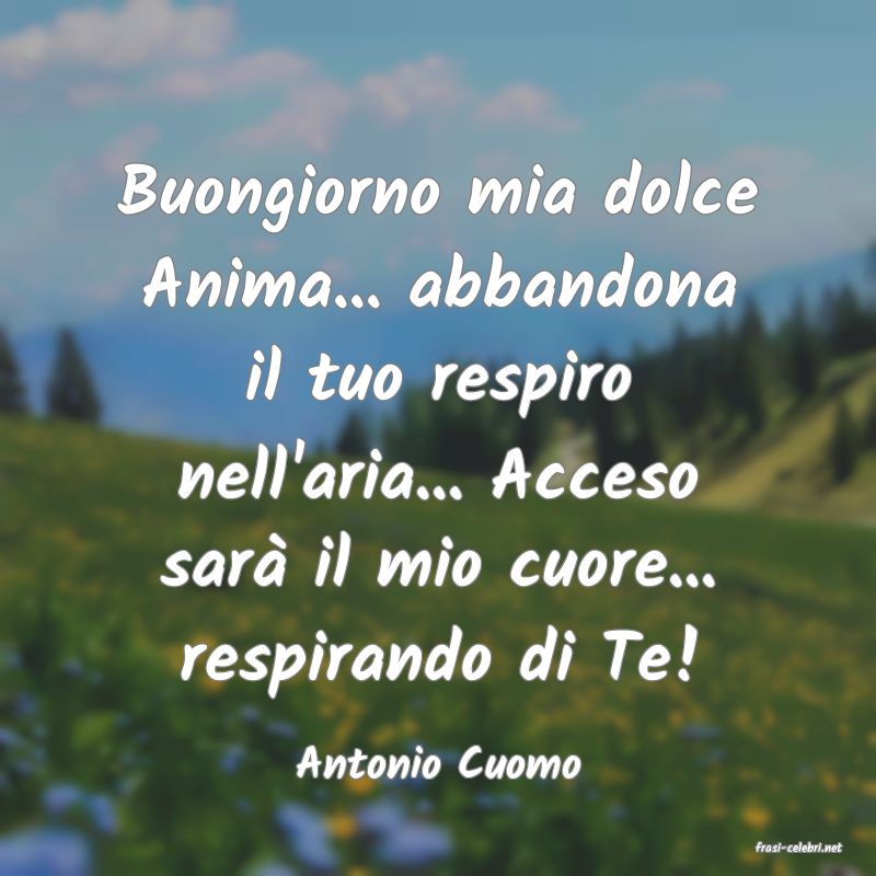 frasi di  Antonio Cuomo
