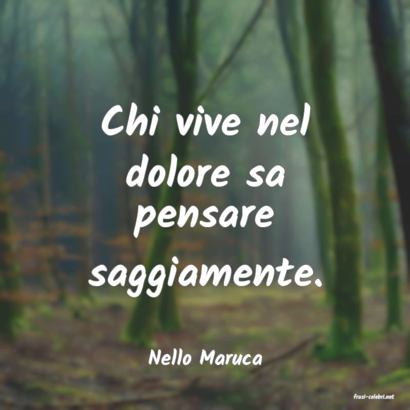 frasi di  Nello Maruca
