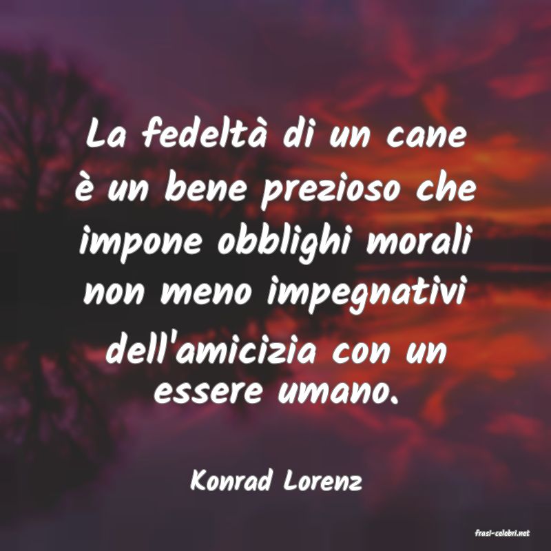 frasi di  Konrad Lorenz

