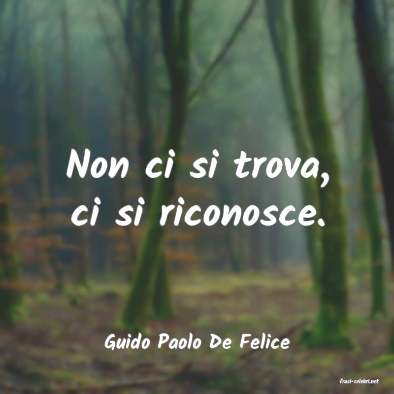 frasi di  Guido Paolo De Felice
