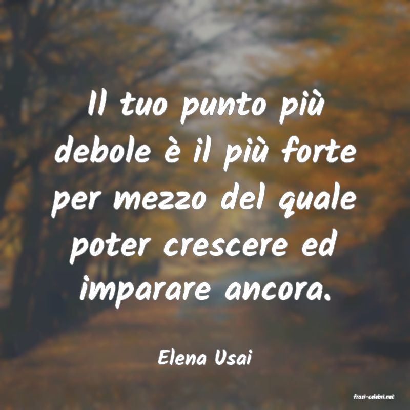 frasi di  Elena Usai
