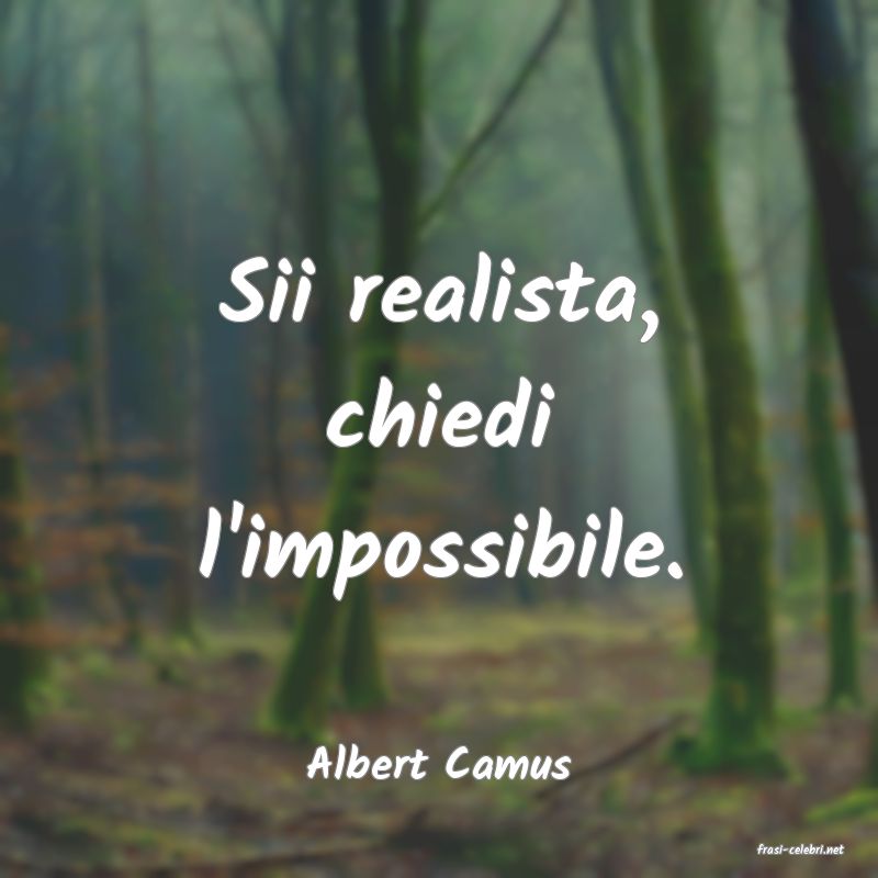 frasi di  Albert Camus

