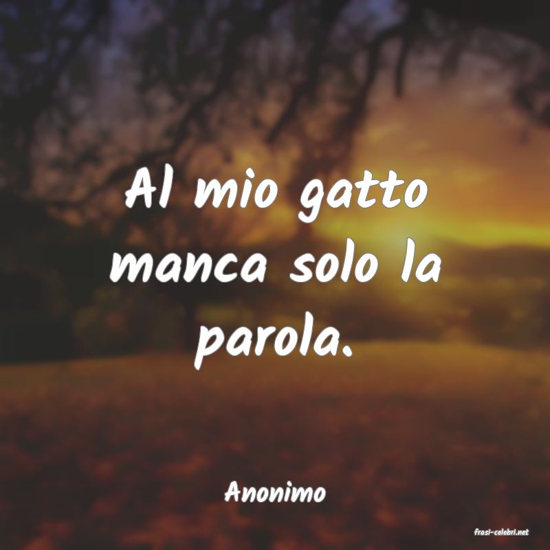 frasi di Anonimo