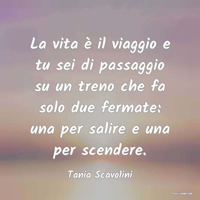 frasi di  Tania Scavolini
