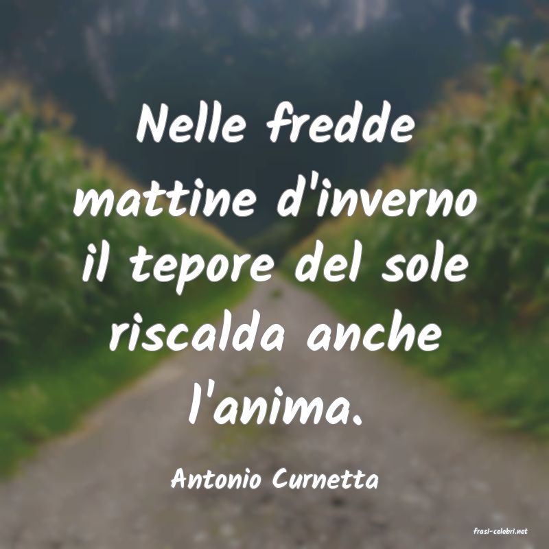 frasi di  Antonio Curnetta
