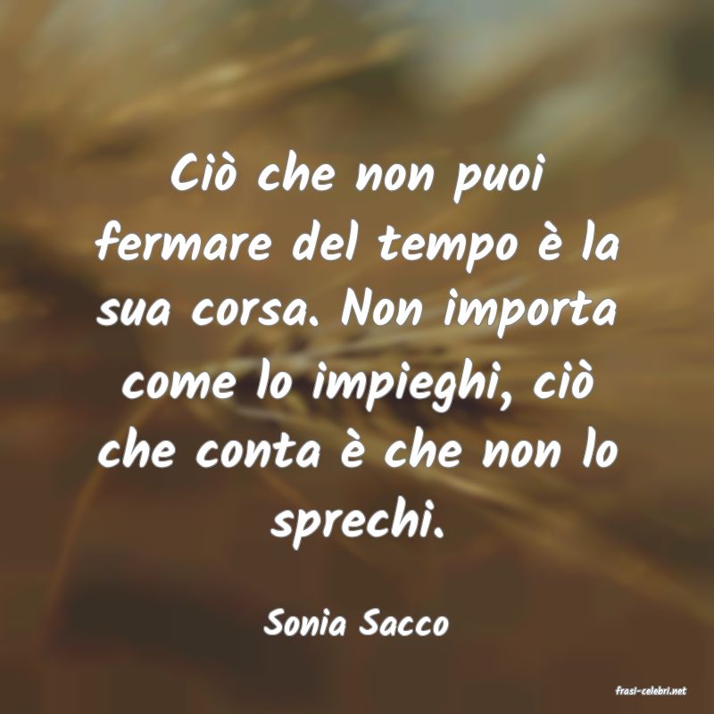 frasi di  Sonia Sacco
