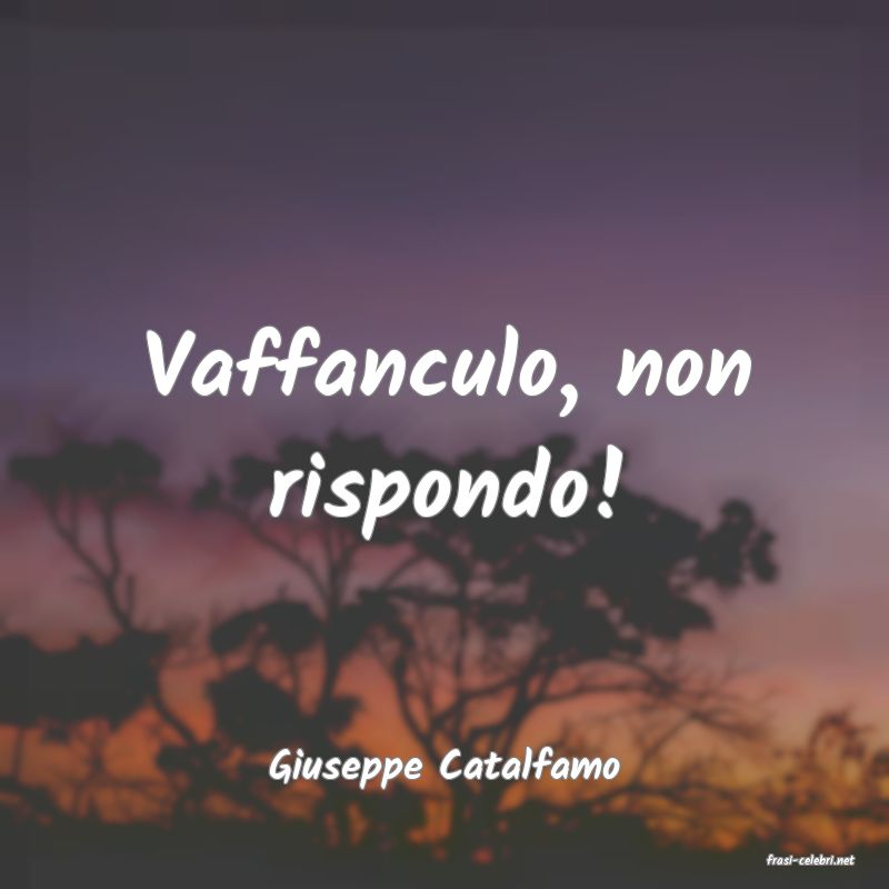 frasi di  Giuseppe Catalfamo
