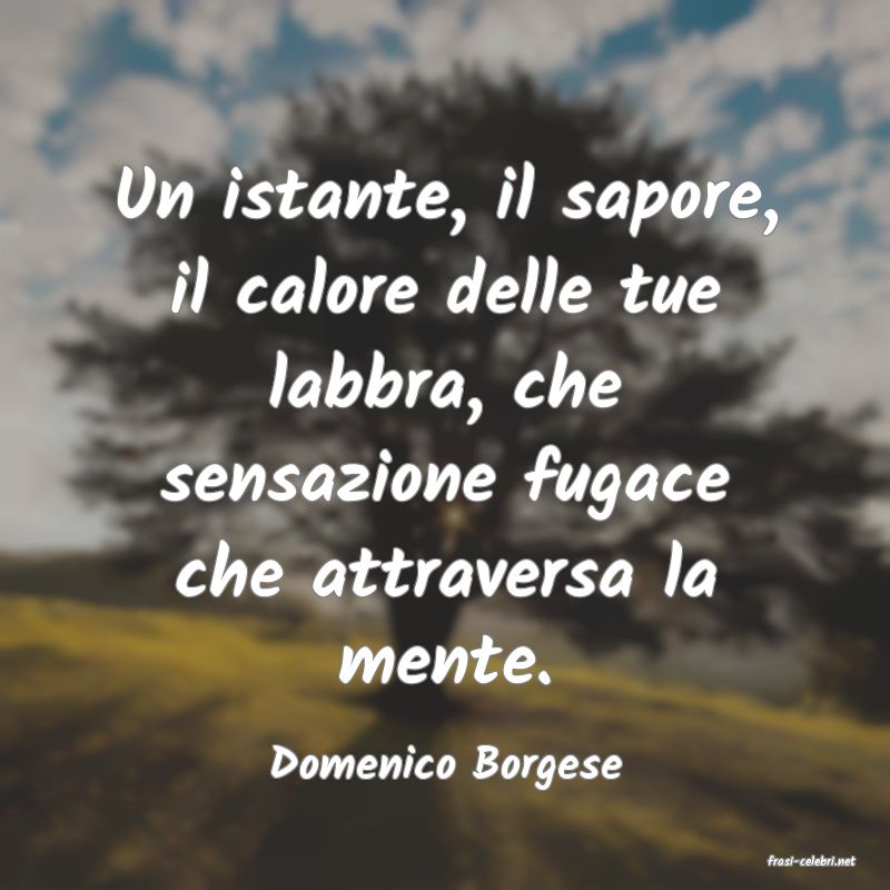 frasi di  Domenico Borgese
