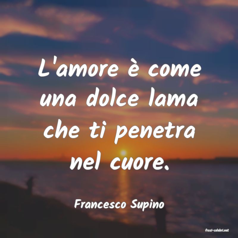 frasi di  Francesco Supino
