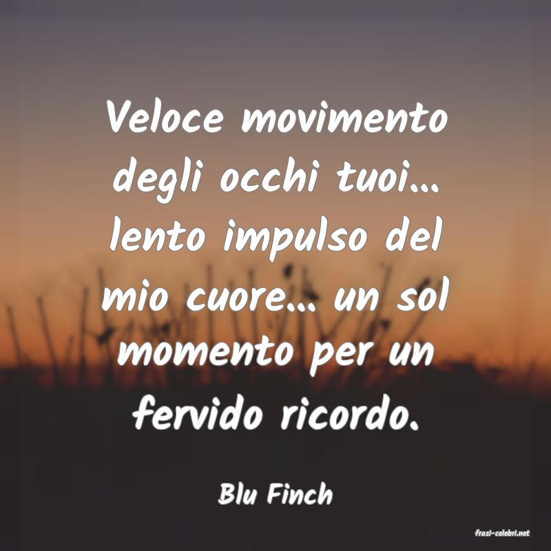 frasi di Blu Finch