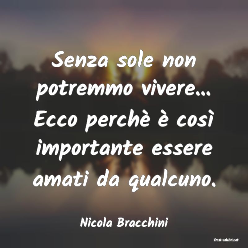 frasi di Nicola Bracchini