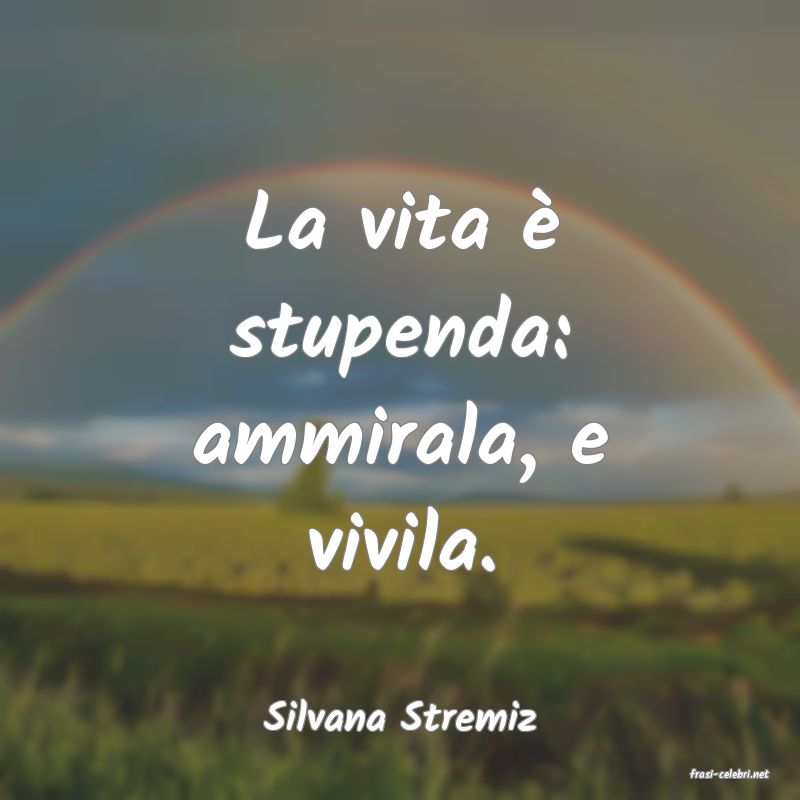 frasi di Silvana Stremiz