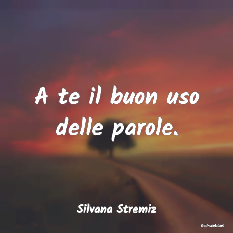 frasi di Silvana Stremiz