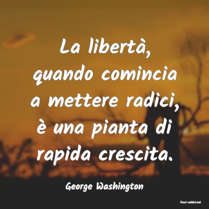 frasi di George Washington