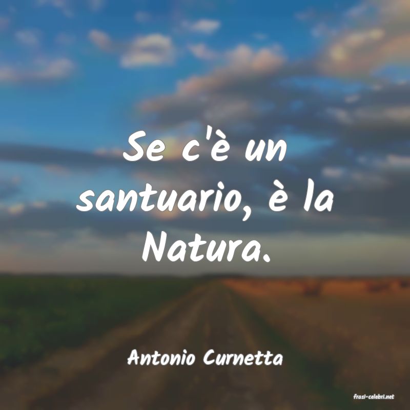 frasi di  Antonio Curnetta
