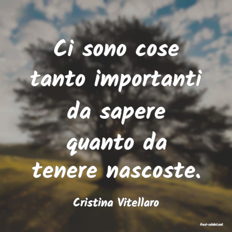 frasi di  Cristina Vitellaro
