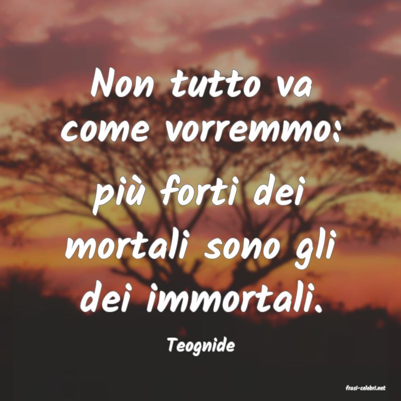 frasi di  Teognide

