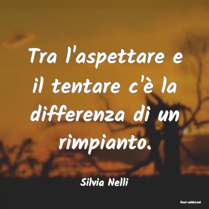 frasi di  Silvia Nelli
