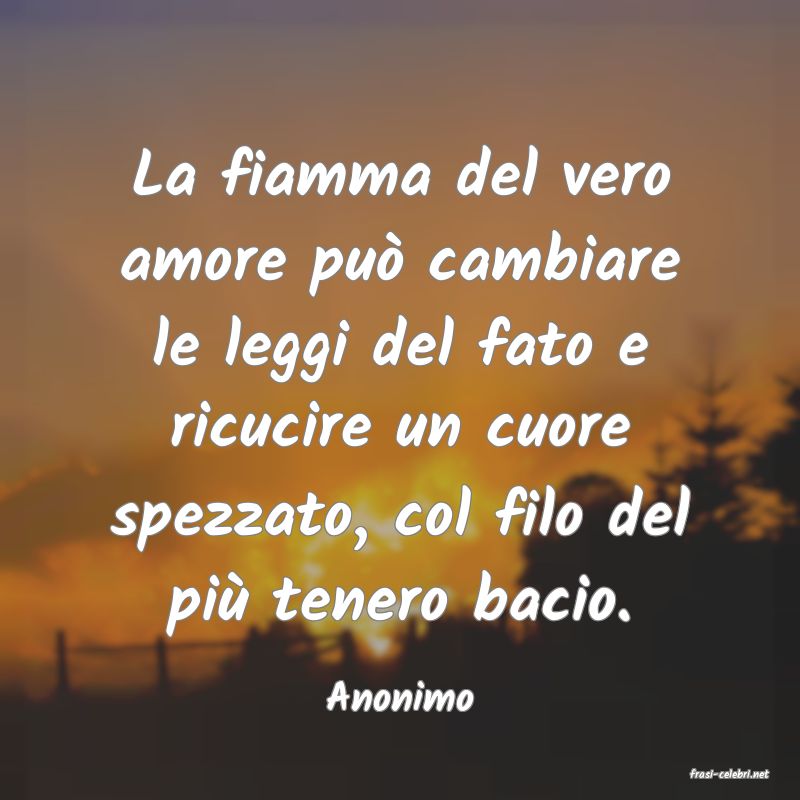 frasi di  Anonimo
