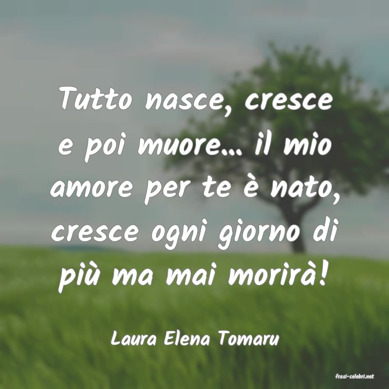 frasi di  Laura Elena Tomaru
