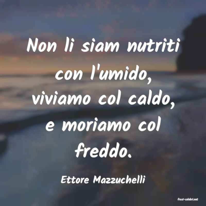 frasi di  Ettore Mazzuchelli
