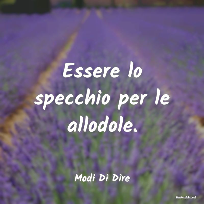frasi di  Modi Di Dire
