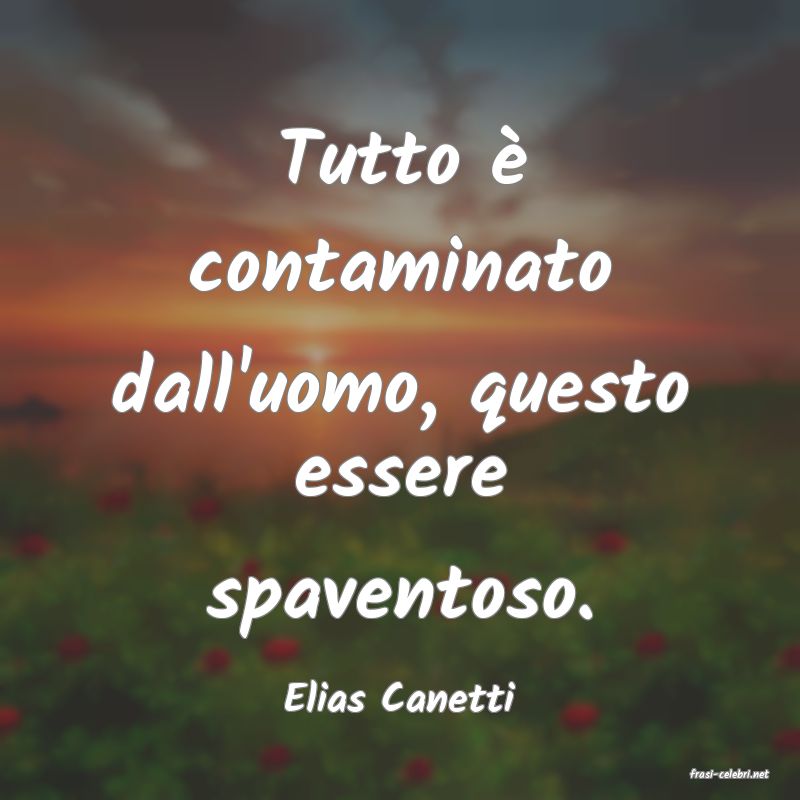 frasi di  Elias Canetti
