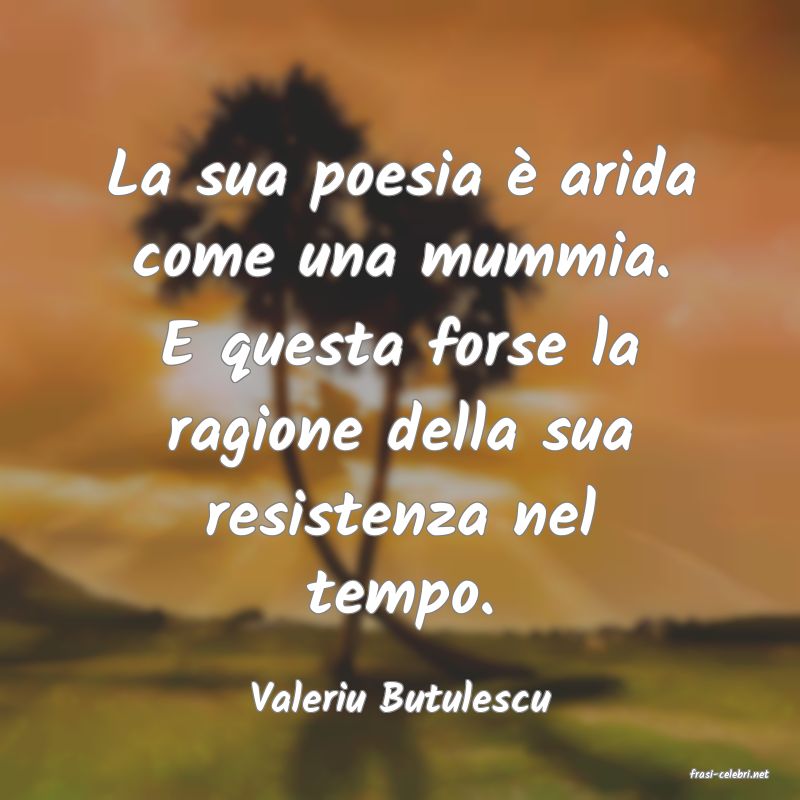 frasi di  Valeriu Butulescu
