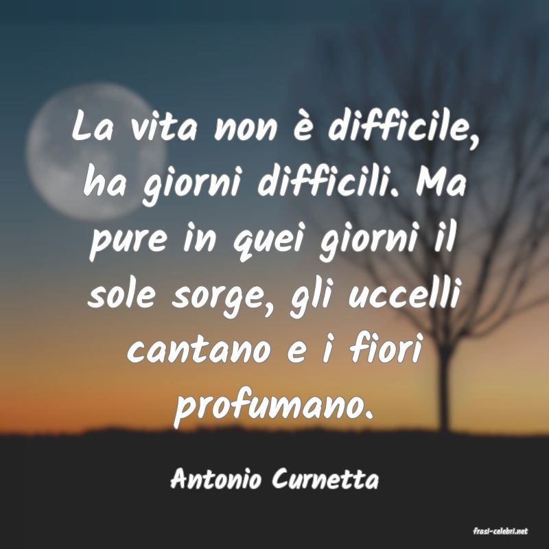 frasi di  Antonio Curnetta

