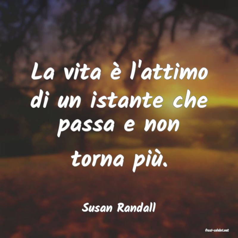 frasi di  Susan Randall
