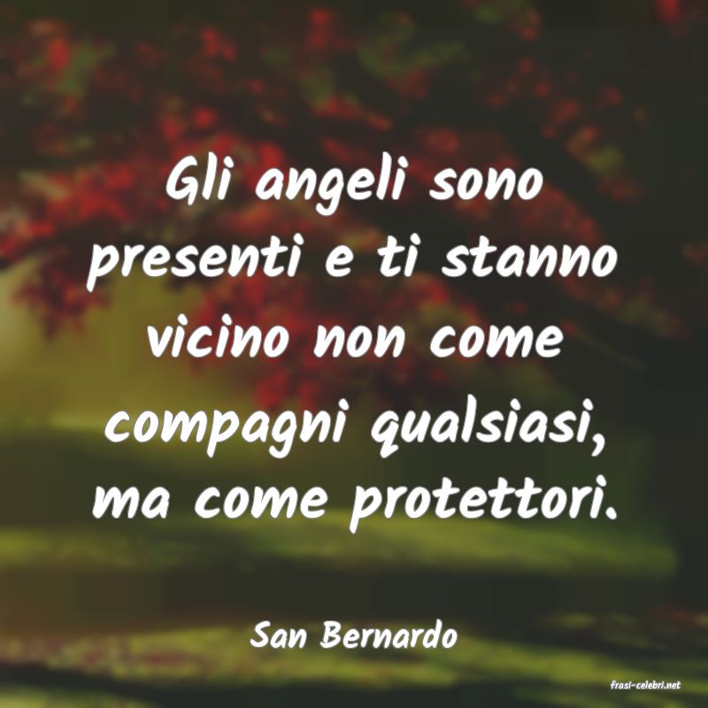 frasi di San Bernardo