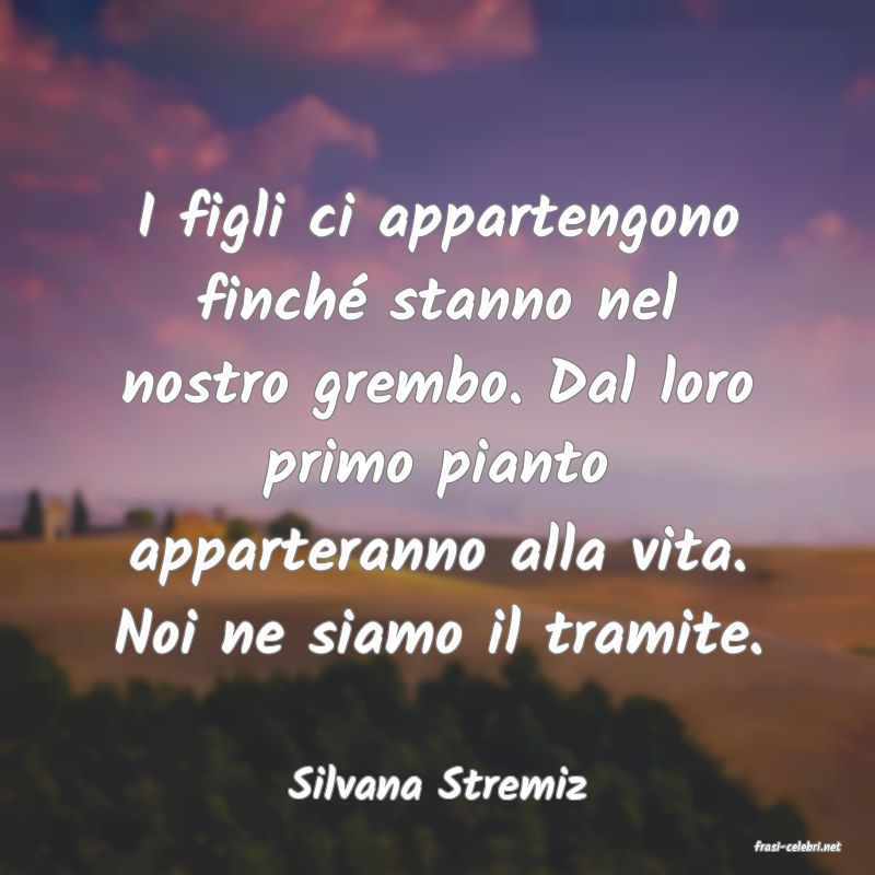 frasi di Silvana Stremiz