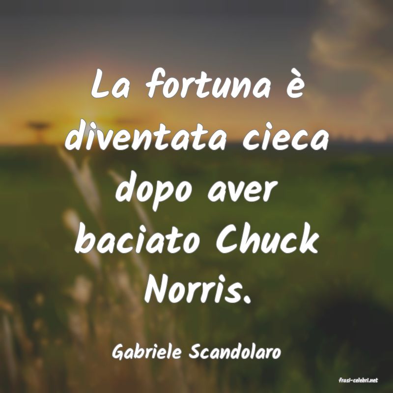 frasi di Gabriele Scandolaro