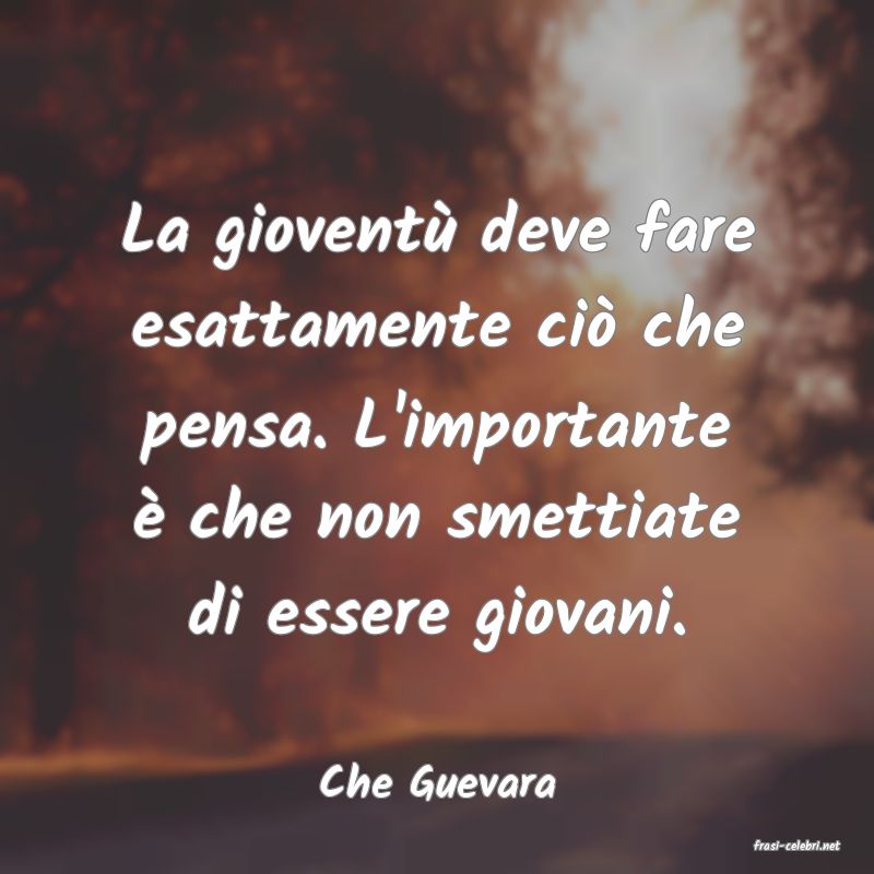 frasi di Che Guevara