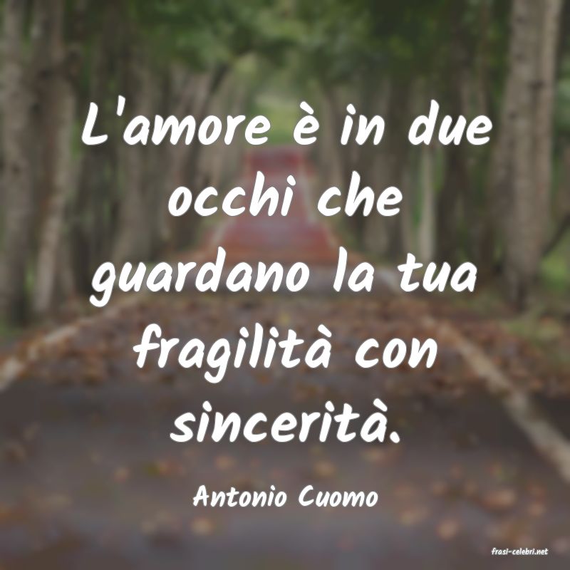 frasi di  Antonio Cuomo
