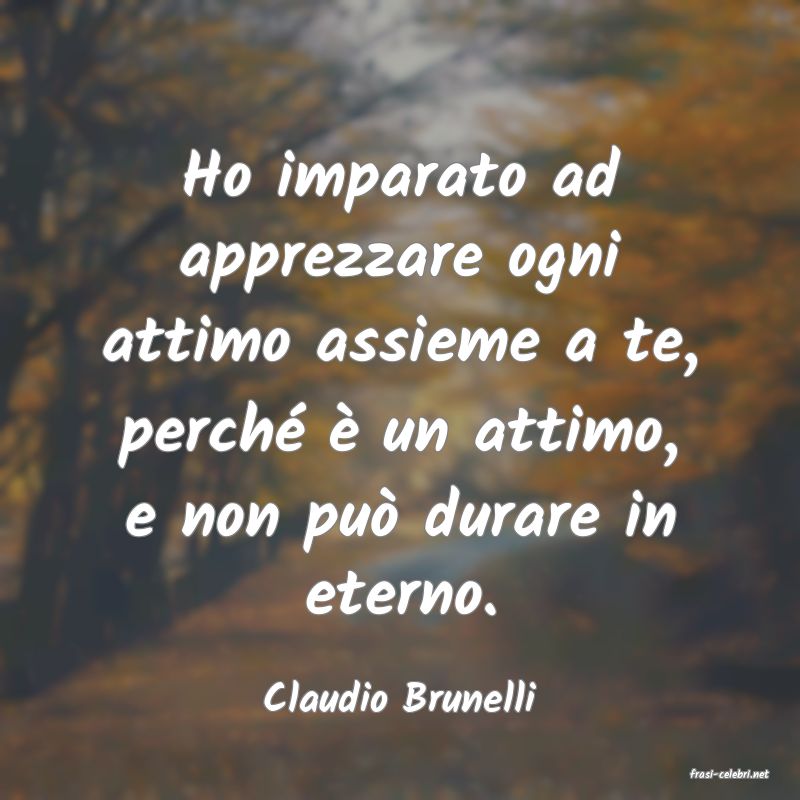 frasi di  Claudio Brunelli
