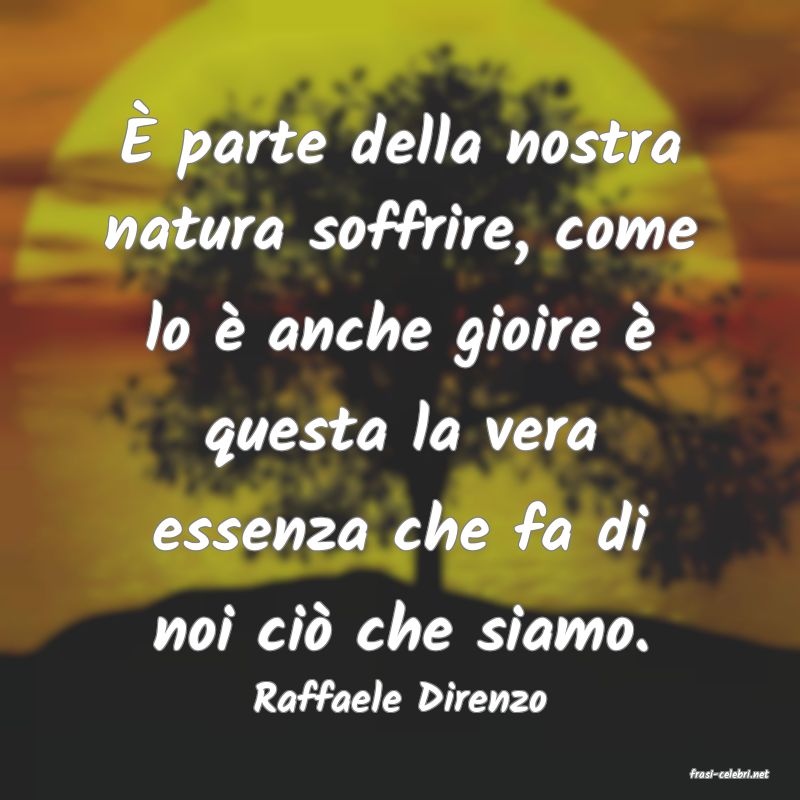 frasi di  Raffaele Direnzo
