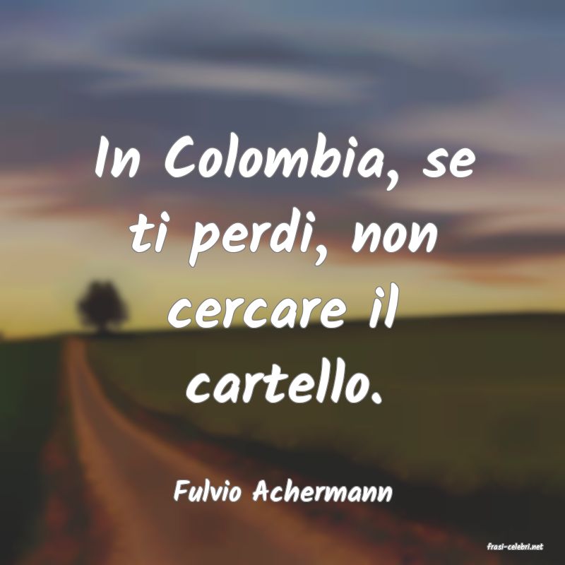 frasi di  Fulvio Achermann
