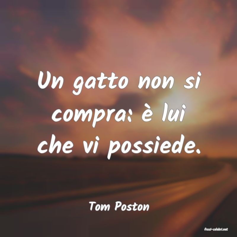 frasi di  Tom Poston
