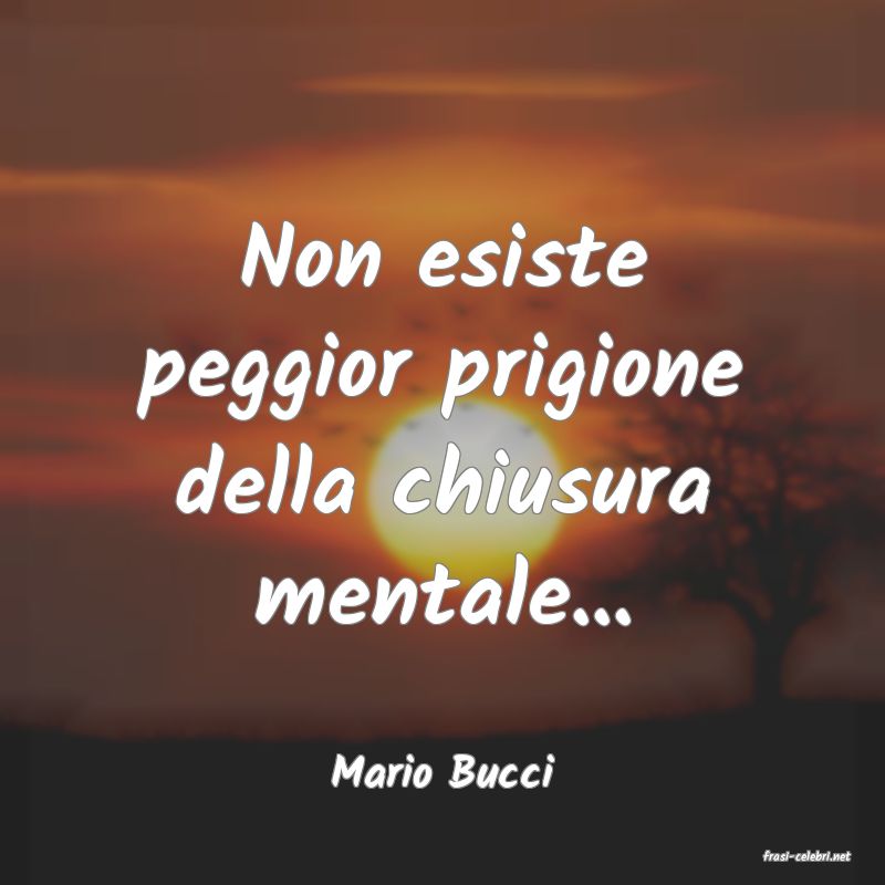 frasi di  Mario Bucci
