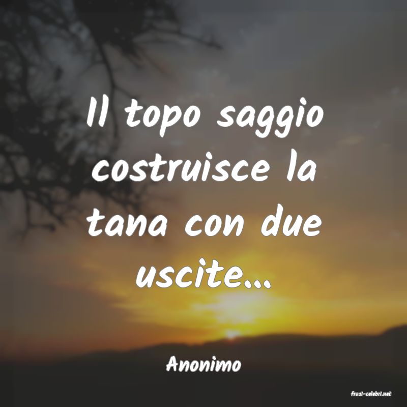 frasi di Anonimo