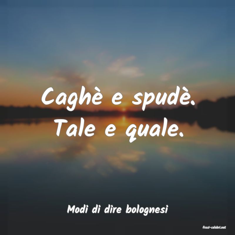 frasi di Modi di dire bolognesi