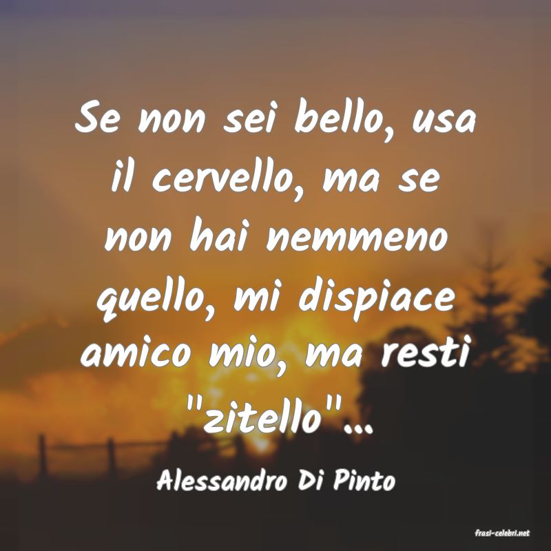 frasi di  Alessandro Di Pinto

