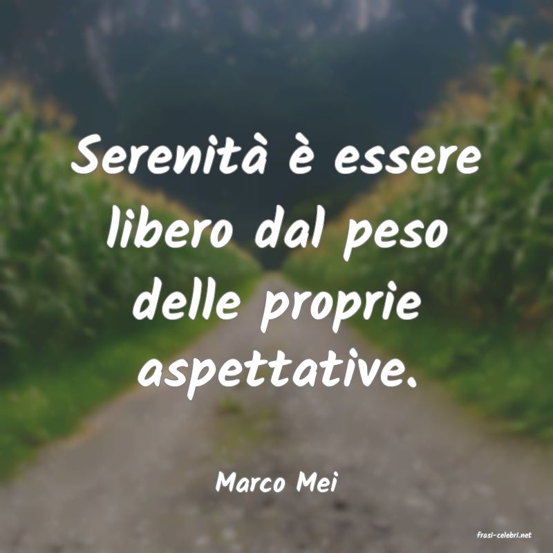 frasi di  Marco Mei
