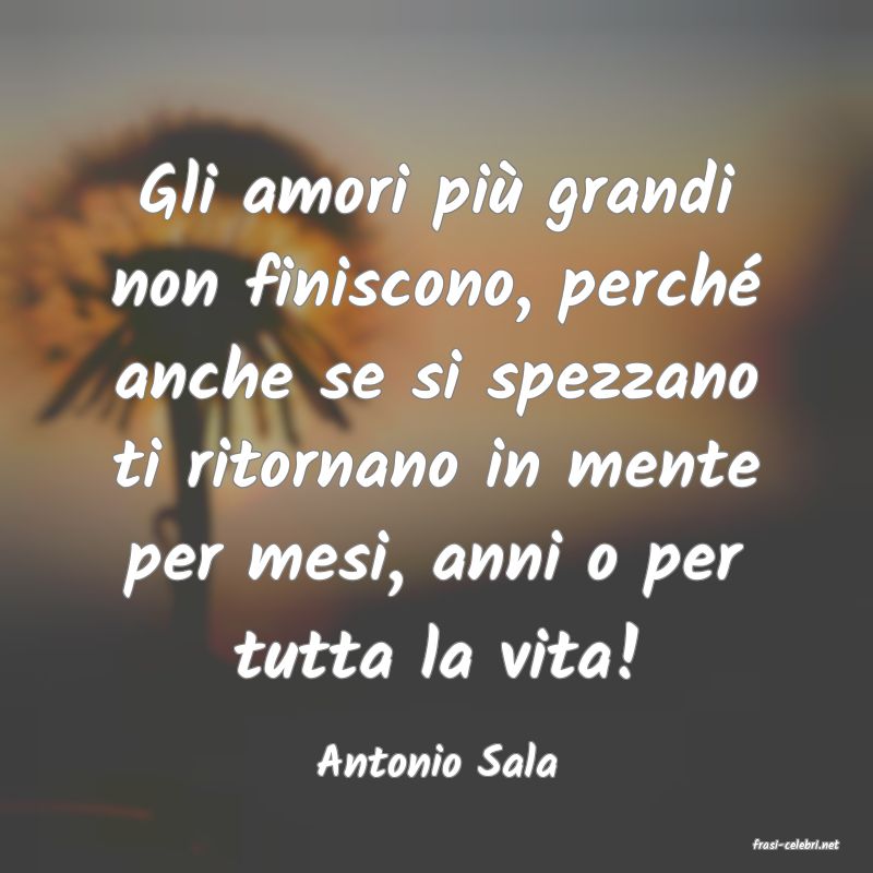 frasi di  Antonio Sala
